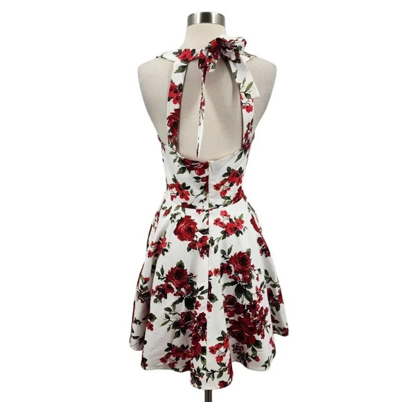Eva Rose White And Red Rose Floral Fit And Flare Pinup Back-Tie Dress Size M - Picture 3 of 12